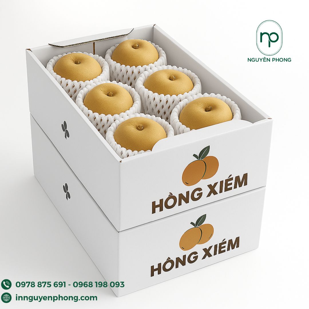 In thùng carton đựng hồng xiêm xuất khẩu chất lượng cao